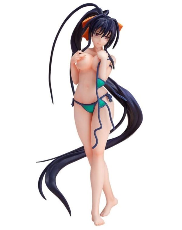 Himejima Akeno Bikini